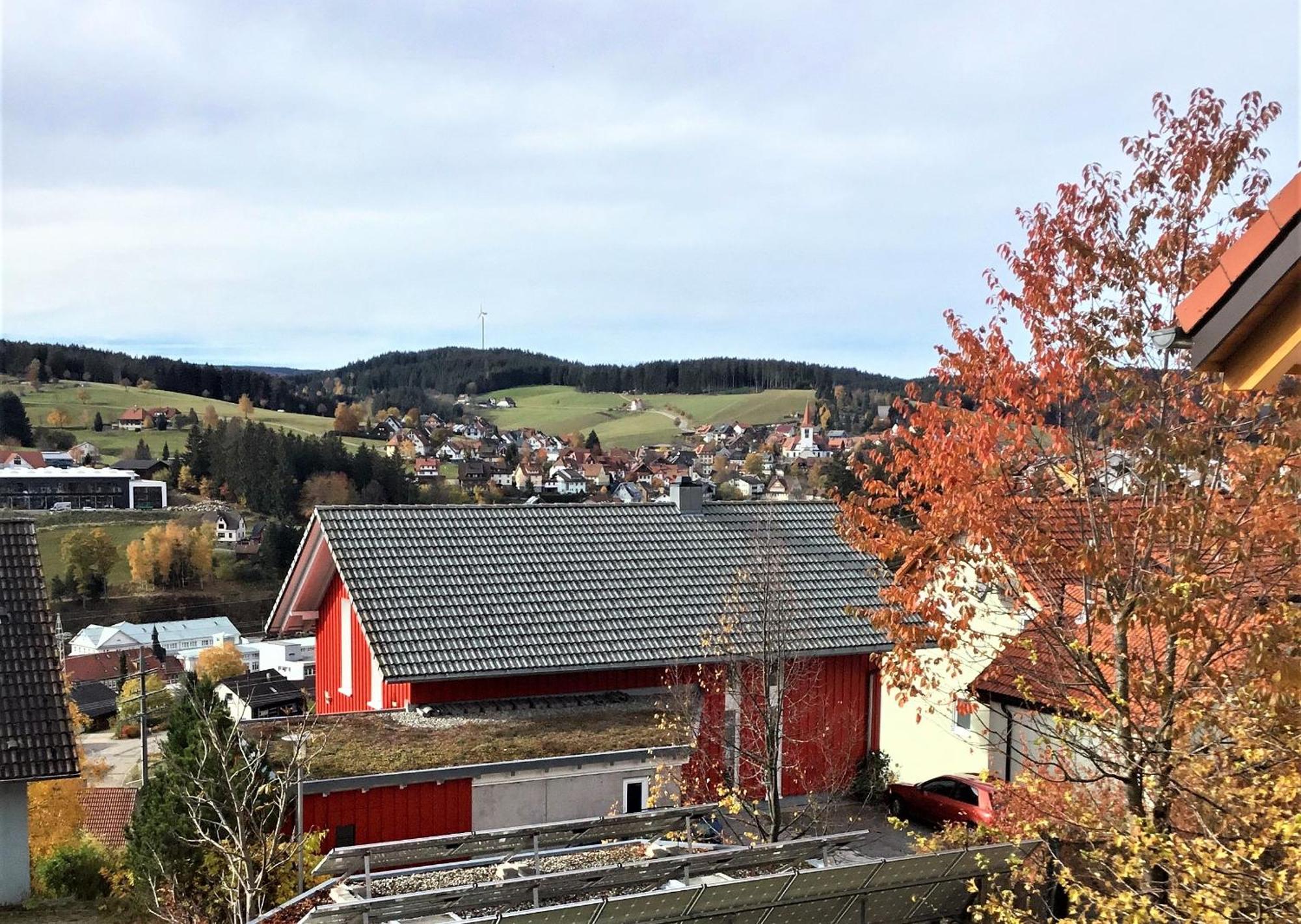 Alexander Feiss Daire Schonach im Schwarzwald Dış mekan fotoğraf